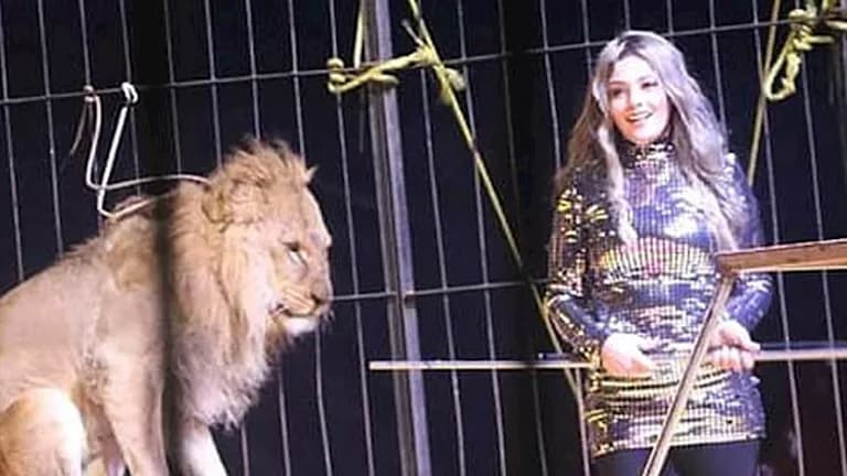 Faten El-Helo Hospitalized After Heart Attack