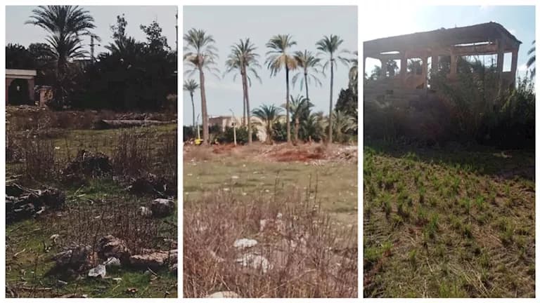 Edfina Residents Complain About Rice Field Conversion