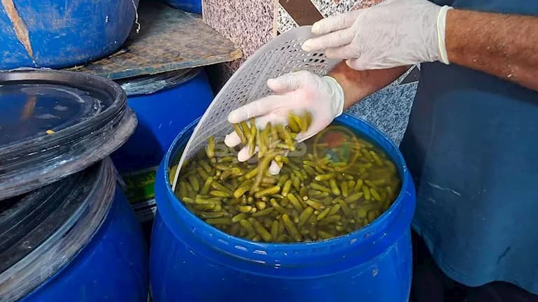 Making Torshi in Minya: From Basins to Tables