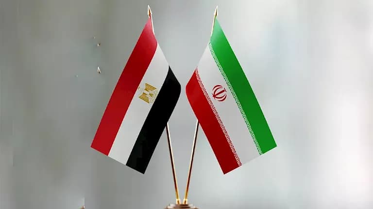 Egypt Maintained Gulf Ties, Ex-Diplomat
