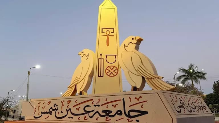 Ain Shams University responds to Tree Massacre