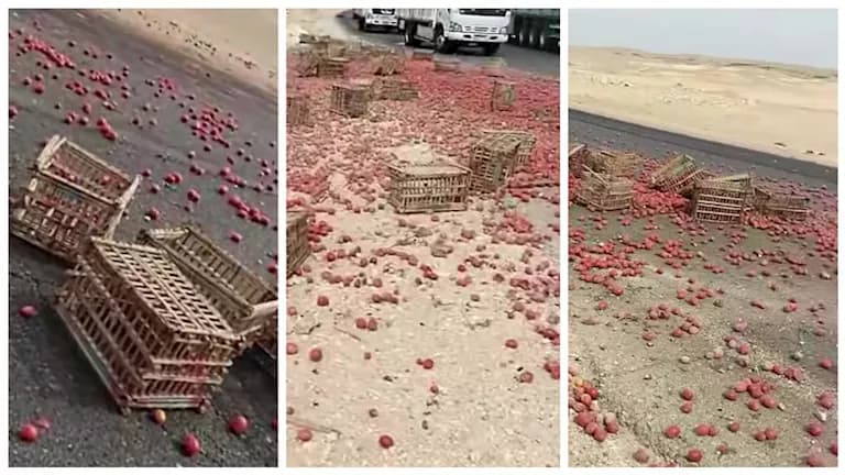انعطاف سيارة ينجم عنه إصابة شخصين بالمنيا