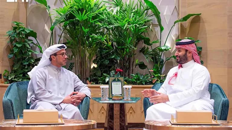 ولي العهد السعودي ونائب الإمارات يناقشان التطورات
