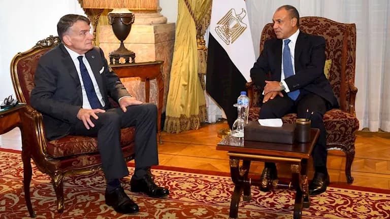 Egypt's FM Affirms Support for UNRWA and Aid to Gaza