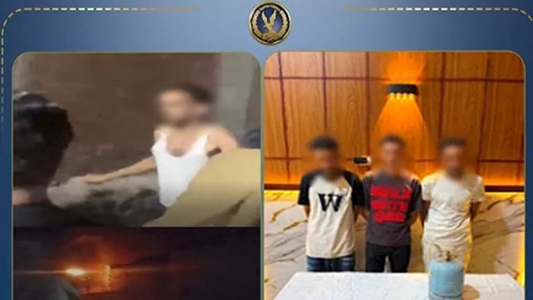 Three brothers arrested after Sharqia altercation