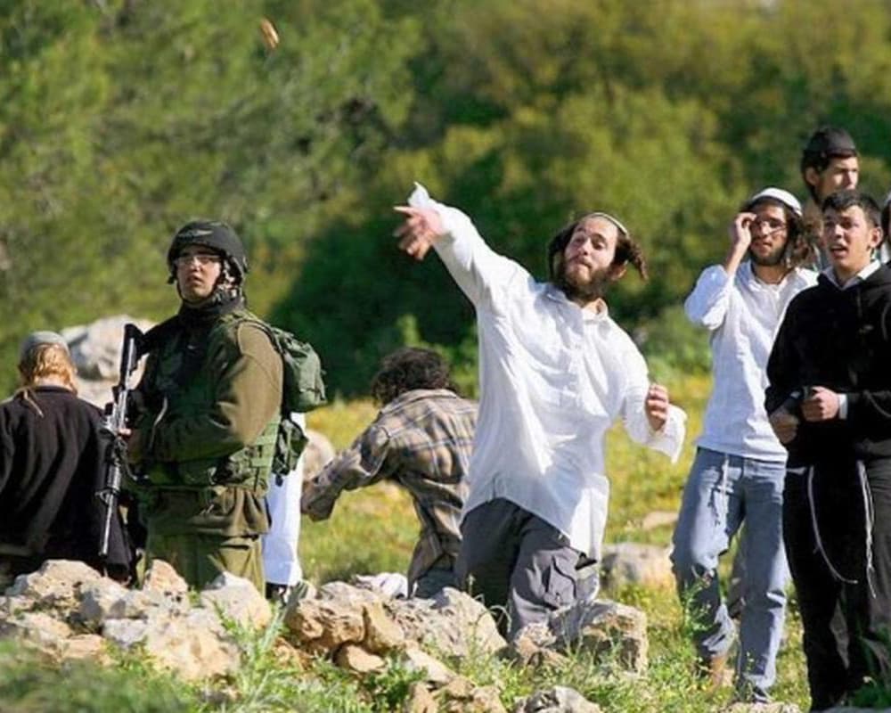 Three Palestinians injured in settler attack in Yatta, south of Hebron