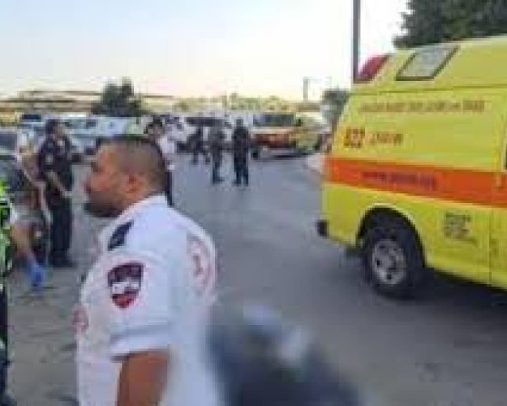 26 deaths this year including Abu Sanan shootings