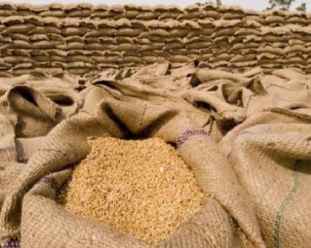 الاقتصاد ونقابة المخابز تؤكد استقرار مخزون القمح والطحين وعدم تغييرات في الأسعار