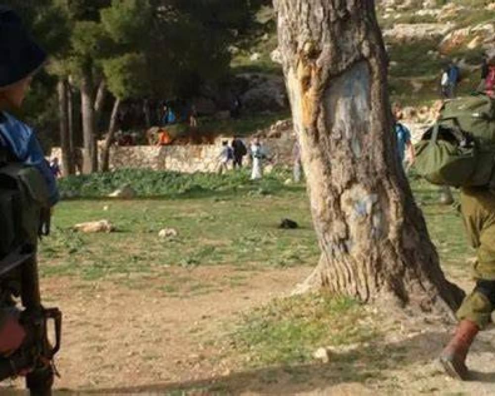 Elderly man hurt in settler attack south of Bethlehem
