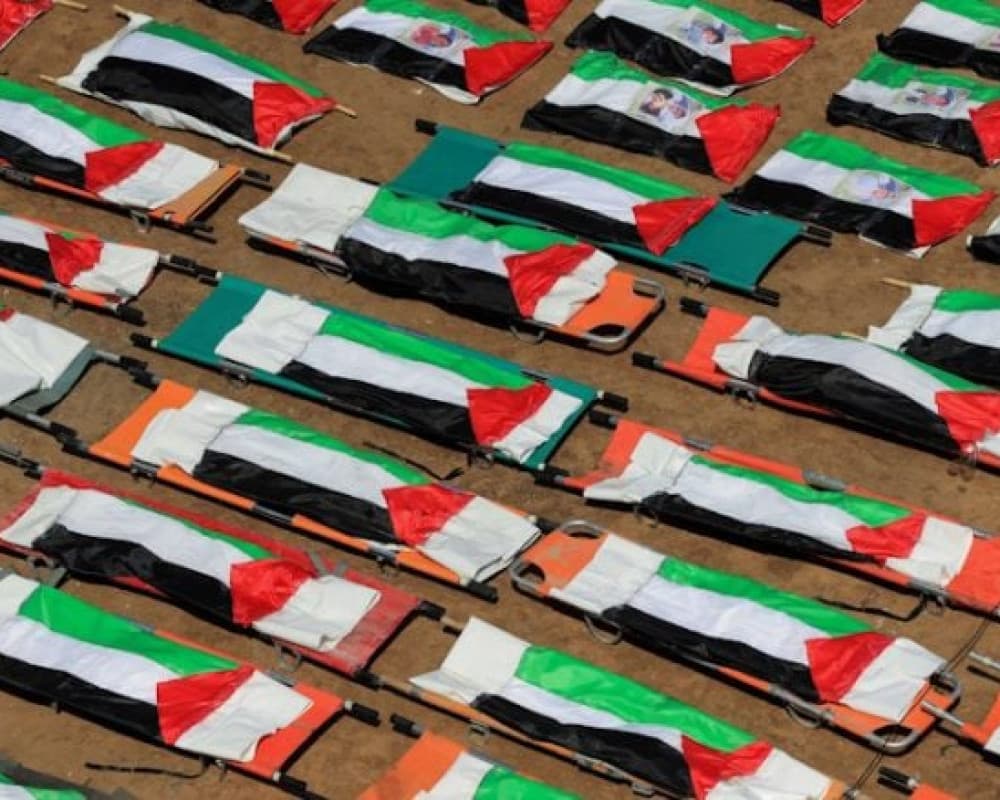 Israeli Violations and Casualties in Gaza