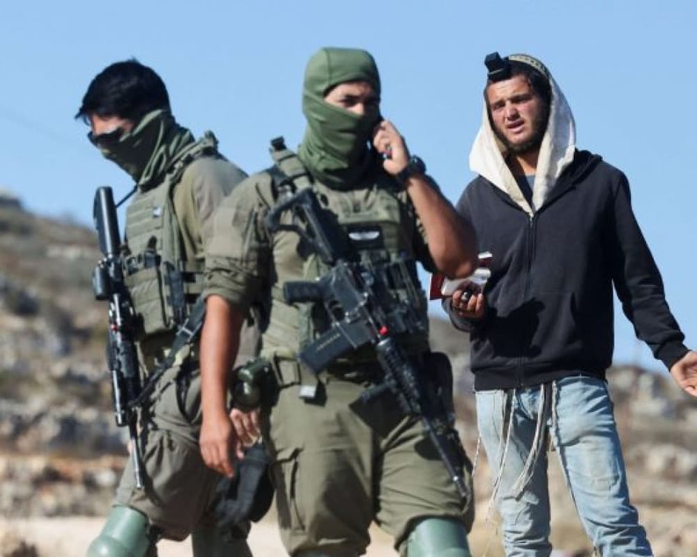 Settlers target shepherds in Jordan Valley