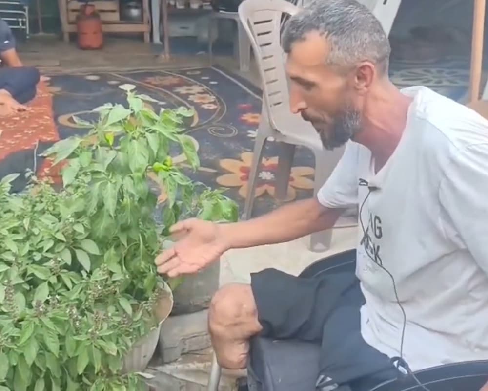 شاب يستخدم الزراعة المائية لتوفير خضروات للمطاعم