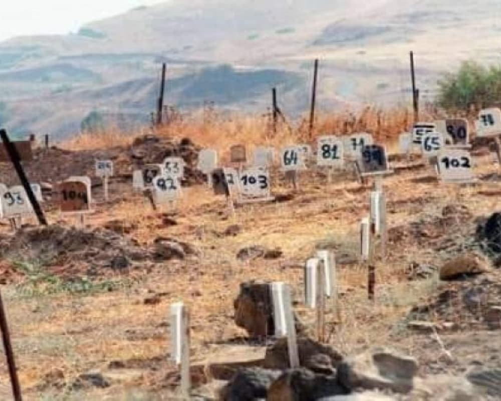 799 martyrs identified ahead of National Day
