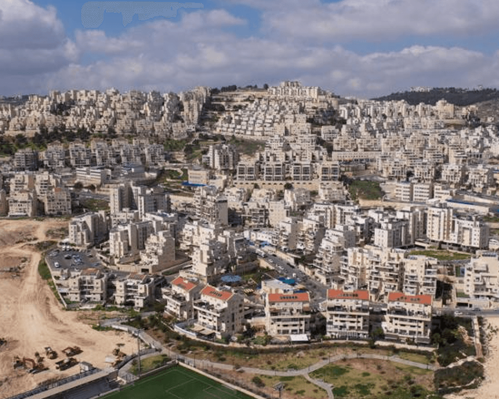 Settlement Report: The Blue Line Crew's Land Seizures