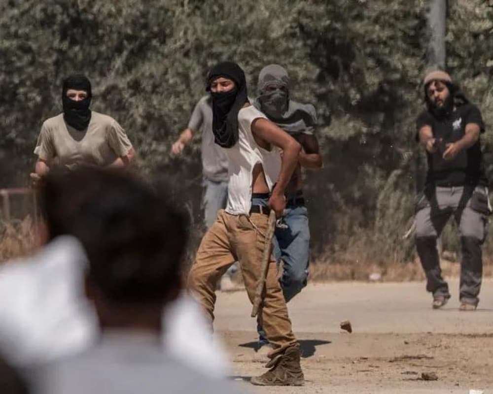 مهاجمة مستوطنين لبيتا جنوب نابلس