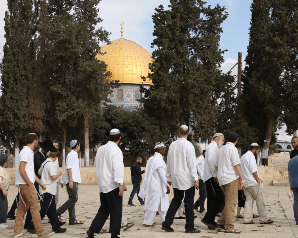 حوالي 100 مستعمر يقتحمون الأقصى تحت حماية الاحتلال