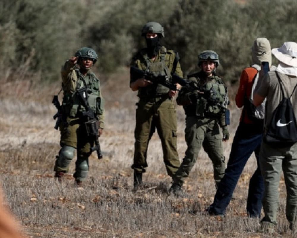 Military orders to clear vegetation in Jenin and Ramallah