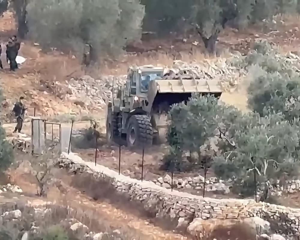 Over 400 olive trees uprooted in Bayt Rima