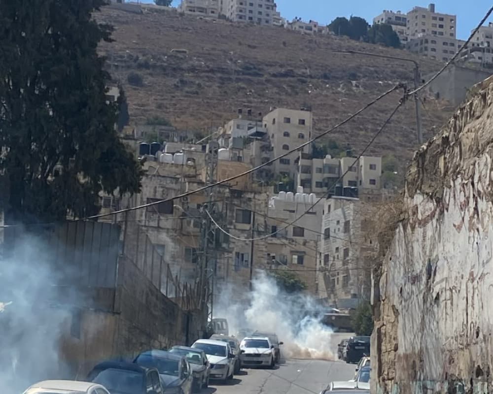 12 طلاب يحتجون ويصابون بالاختناق في نابلس