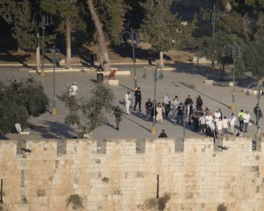 Israeli settlers again storm Al-Aqsa