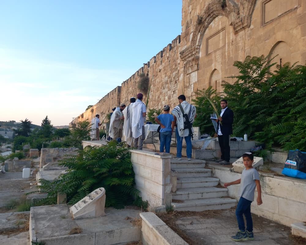 محافظة القدس: مستوطنون يؤدون طقوس عند باب الرحمة