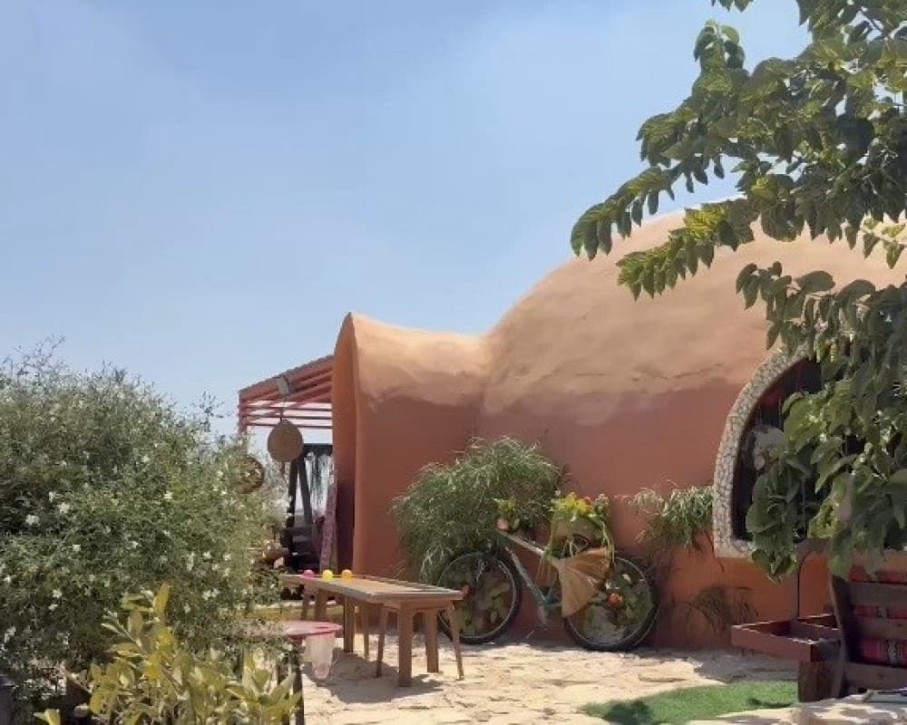 مبادرة جنينية لحماية الألعاب الشعبية الفلسطينية