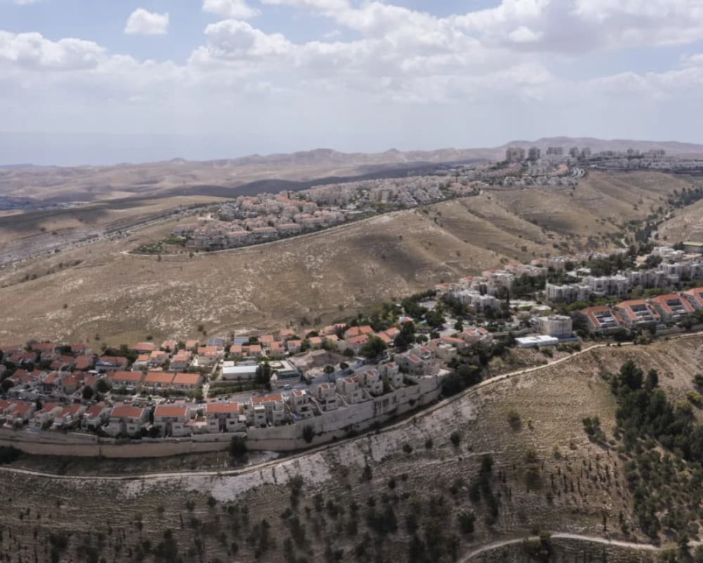 Wall Resistance exposes occupation collusion