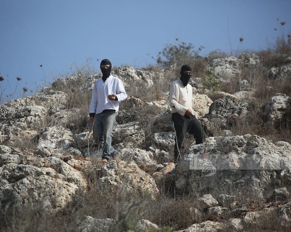 12 settler incidents across 5 provinces