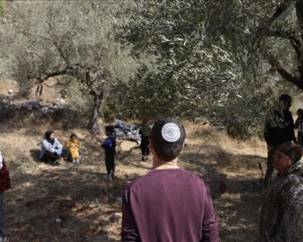 Settlers injure two during attack on olive pickers in Deir Bzeid
