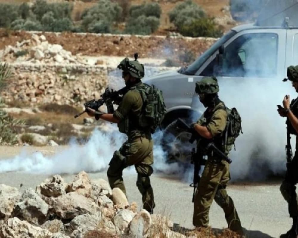 Occupation fires toxic gas at olive pickers