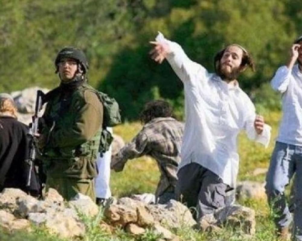 تزايد ردود الفعل الدولية على الاستعمار
