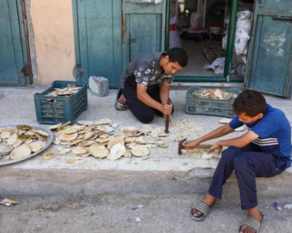 نقص الطحين في غزة يصل إلى 100%
