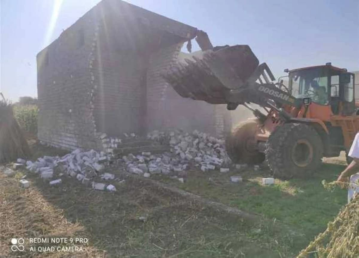 Beni Suef Experiences Wheat Supply Increase of 50,000 Tons