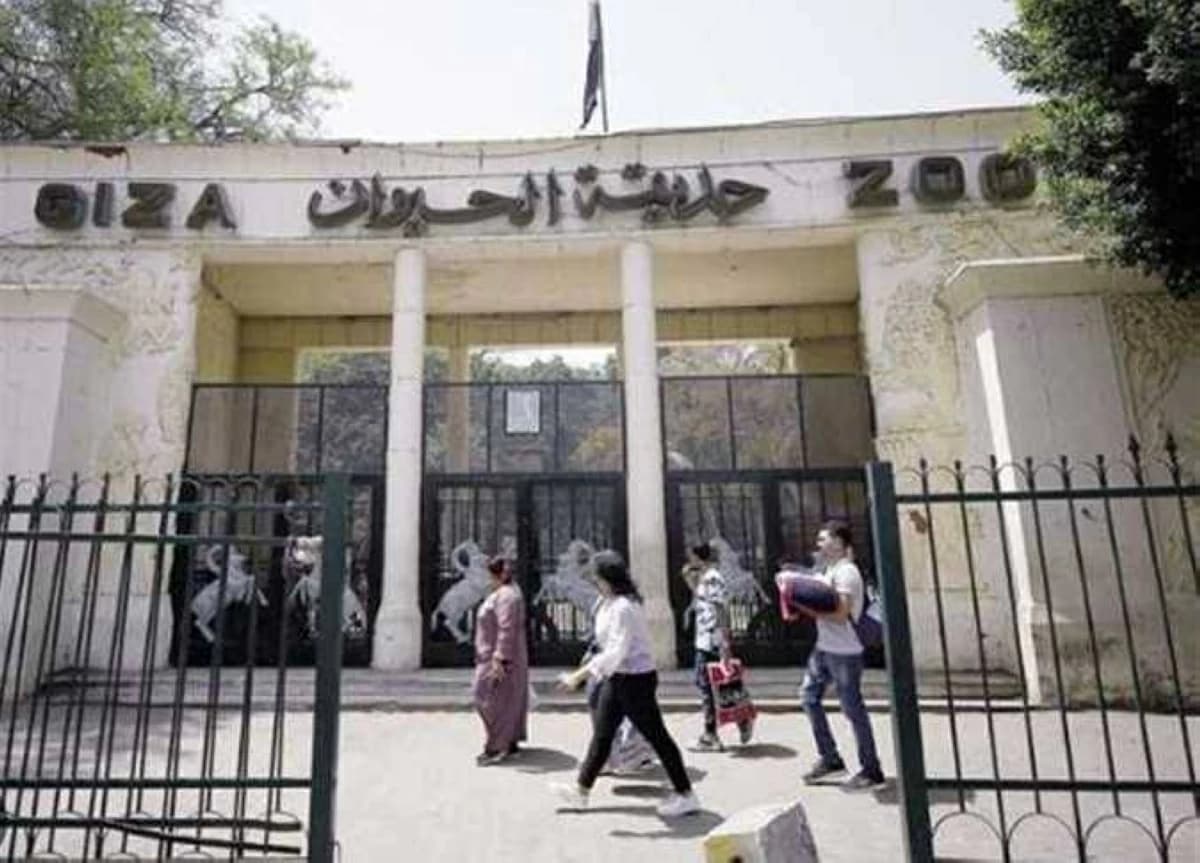 Animal Garden to Open Soon