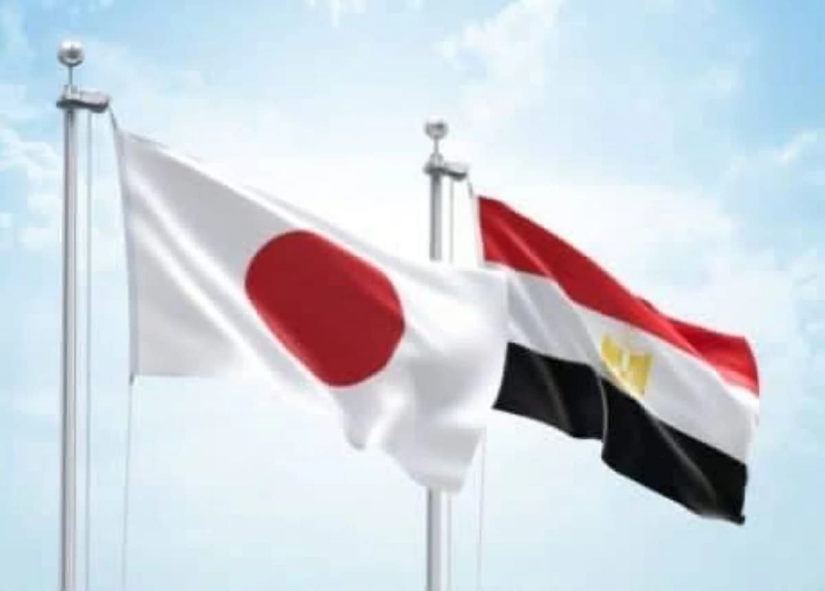 Egypt Maintains Third Spot in Orange Exports to Japan