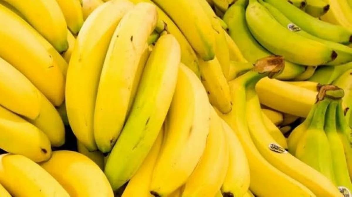 شعبة الخضروات تكشف حقيقة تكبير الموز