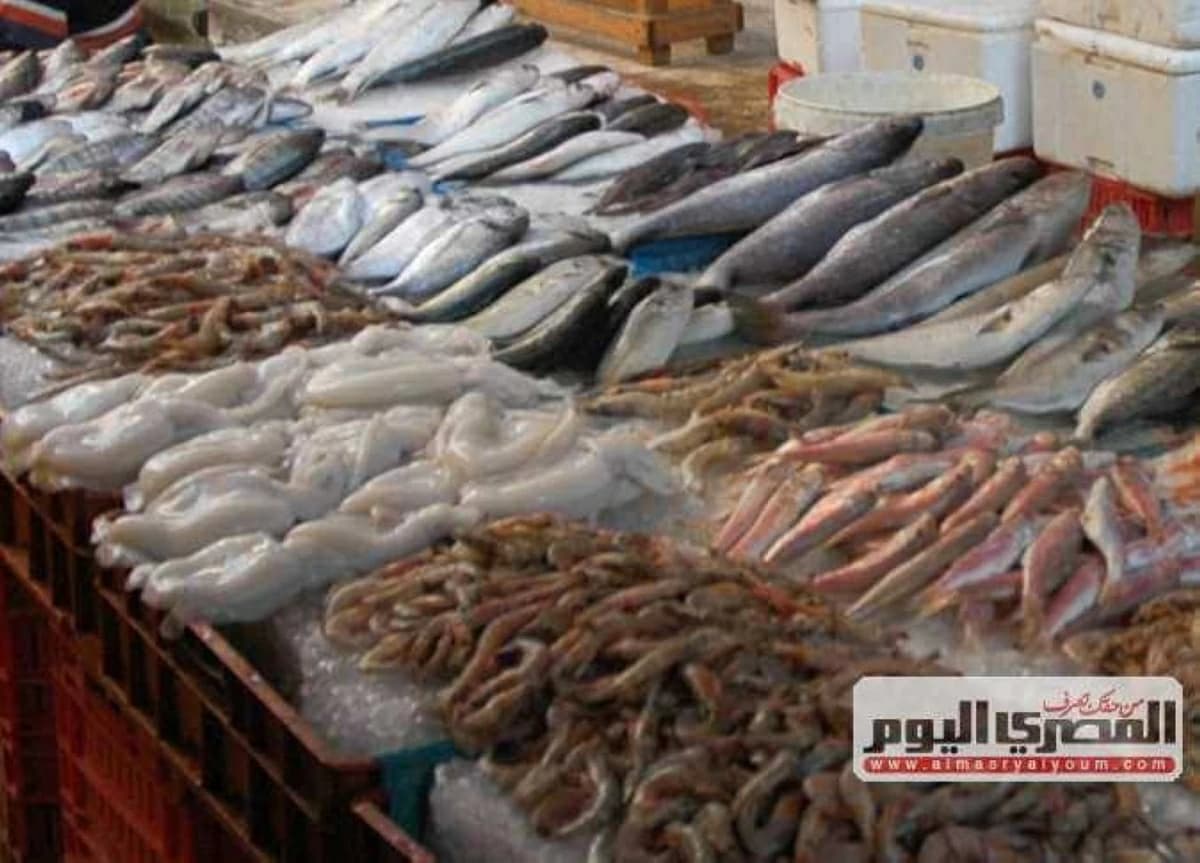 أسعار الأسماك اليوم في سوق العبور