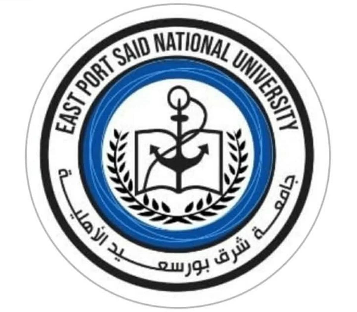 Port Said University Private Expenses 2026