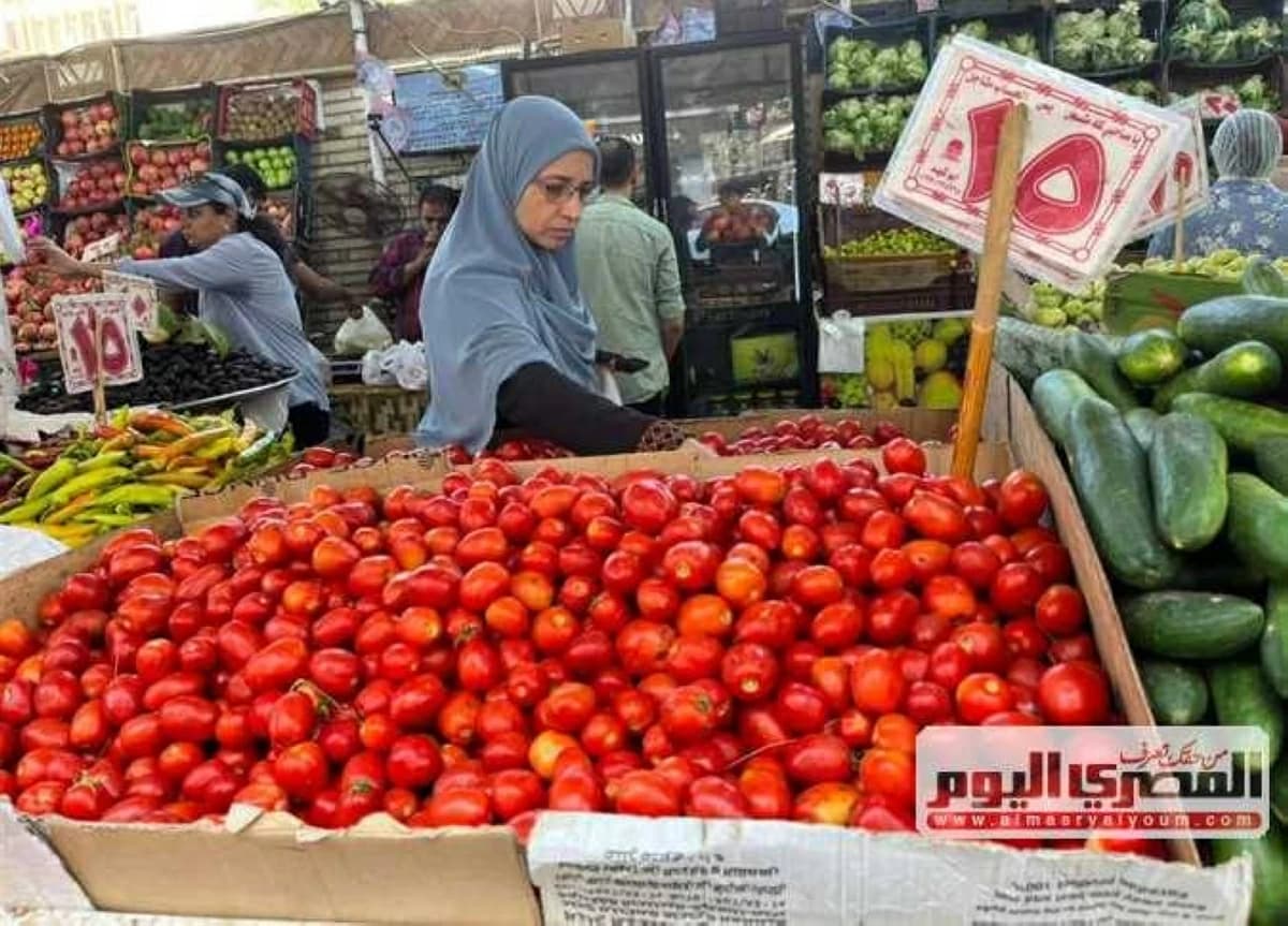 أسعار الطماطم والبطاطس والفواكه في الشرقية السبت