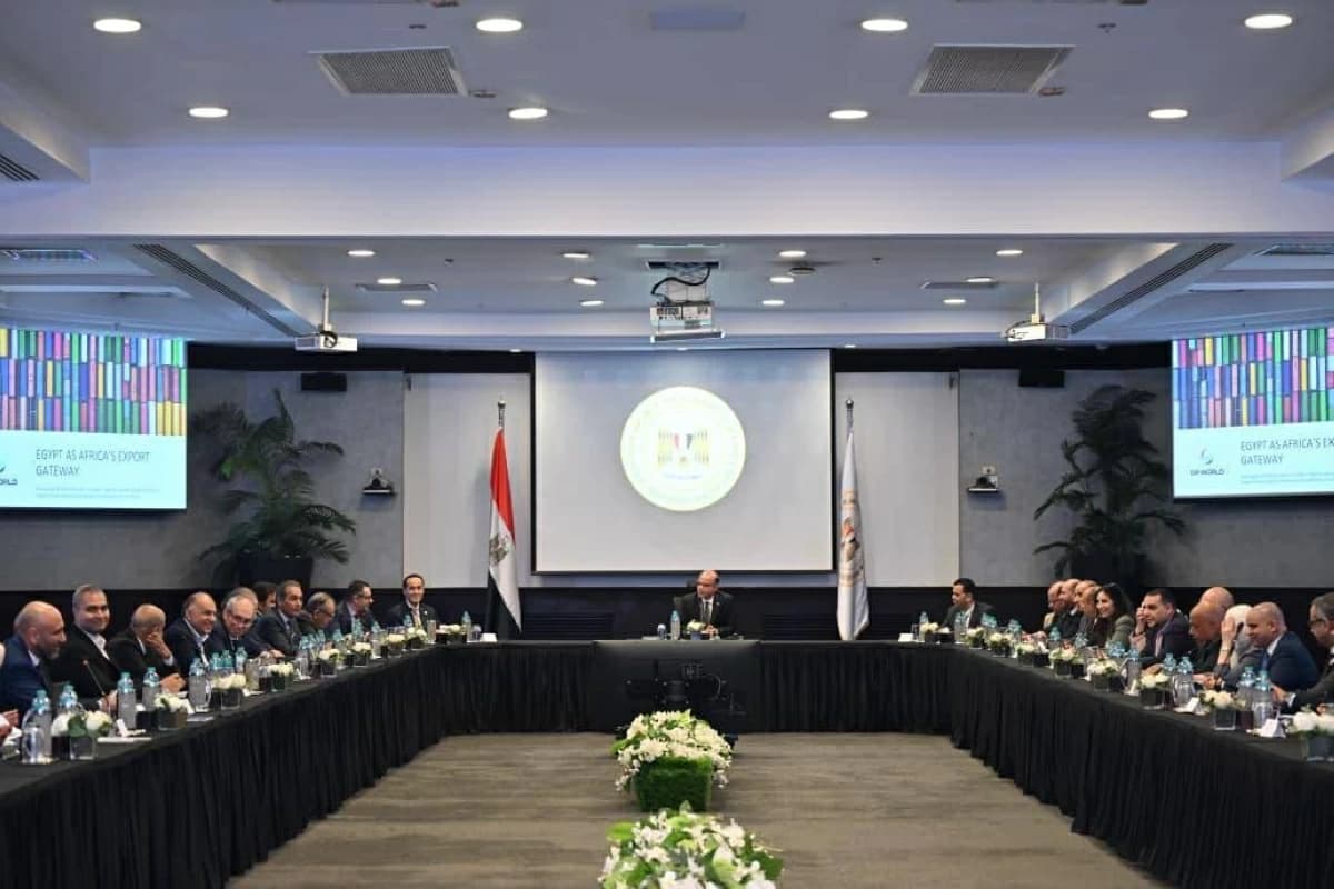 Investment Minister discusses Egypt-Africa exports with DP World and export councils