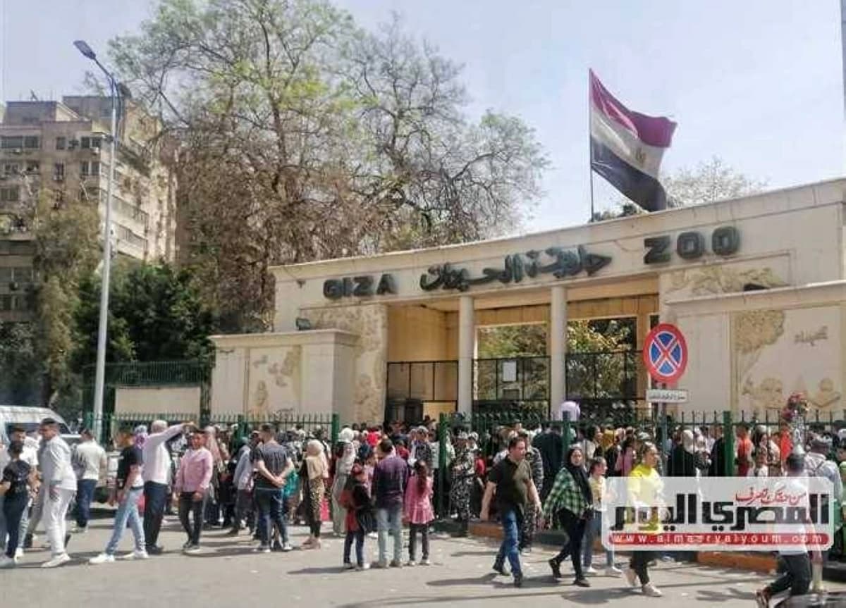 حالة غموض تحيط بحديقة الحيوان بالجيزة