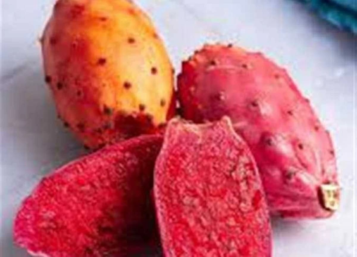 طرق الماء والثلج لتجنب الشوك