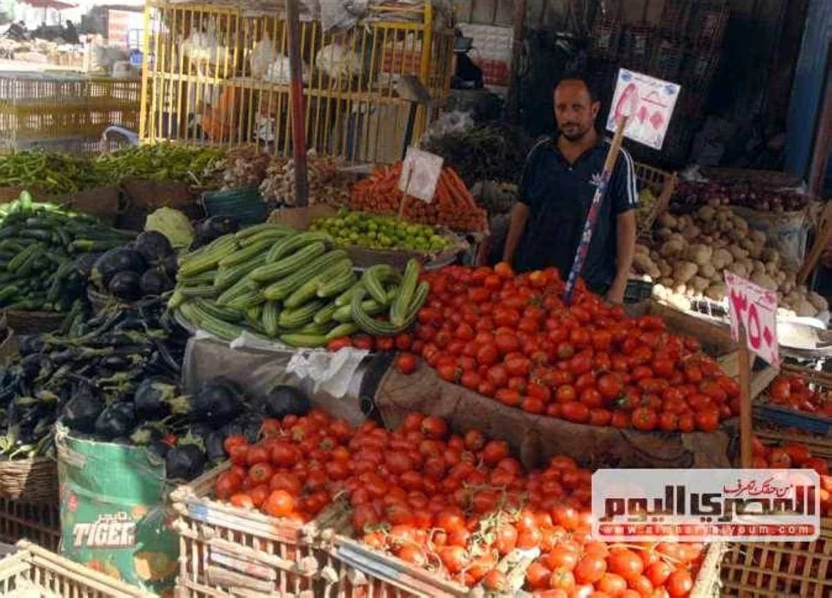 Eastern Market Prices for Tomatoes and Fruits Today