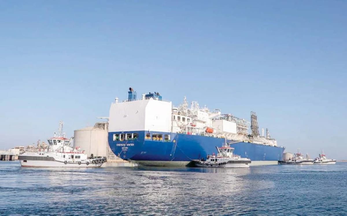 Government investigates Damietta incident