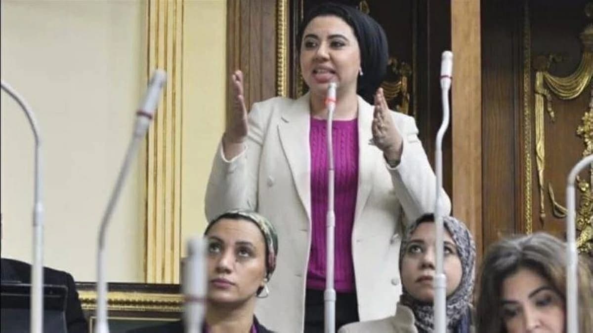 أميرة صابر تنتقد زيادة الكهرباء