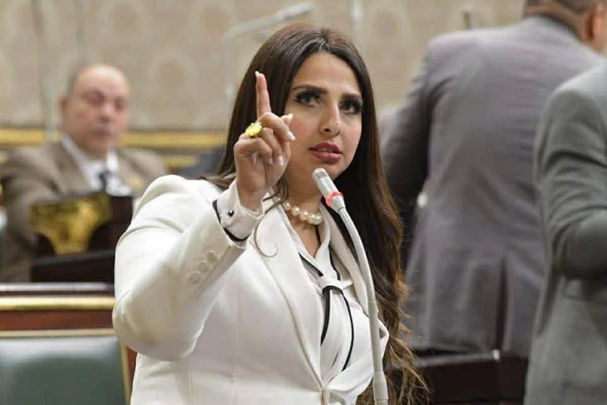 MP Nashwa El-Sharif on rising electricity costs