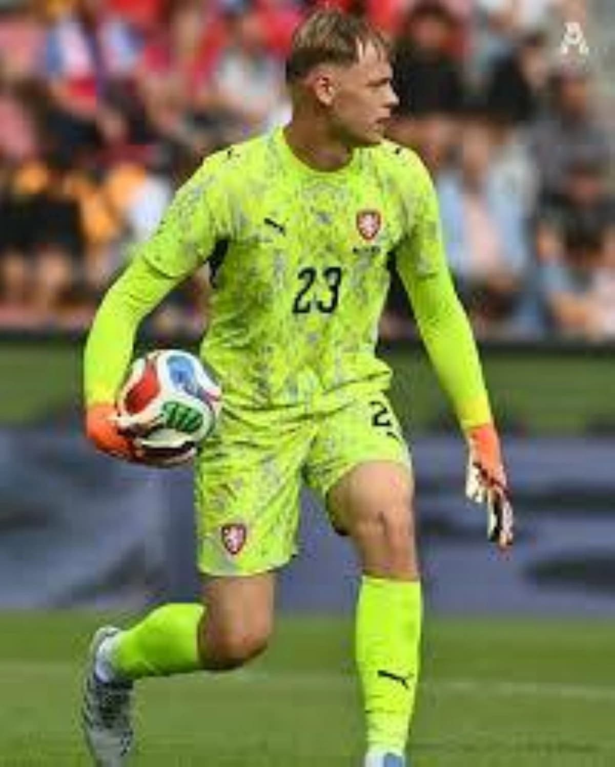 Newcastle signs goalkeeper Lucas Horvath