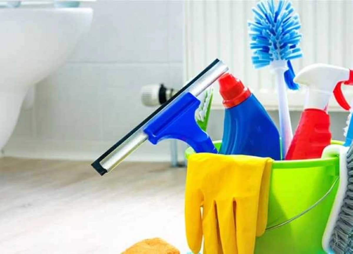 Bathroom germs and odors sources