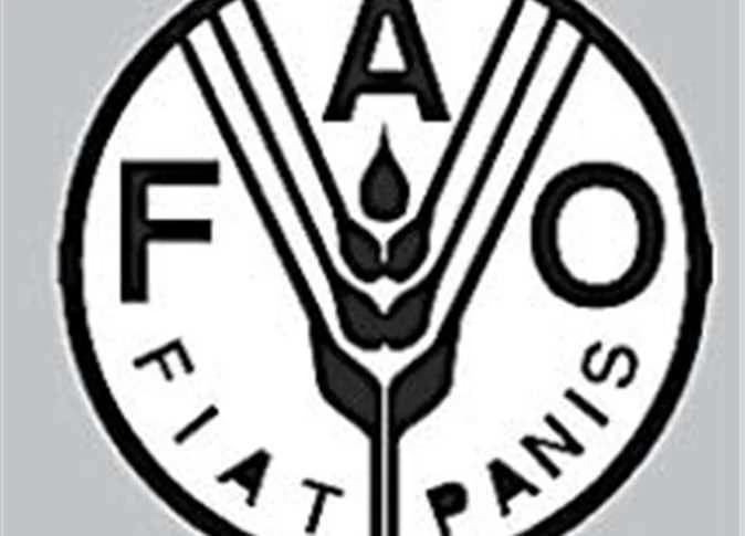 Enviro-FAO Partnership