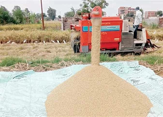 Eastern Markets Rice and Barley Prices